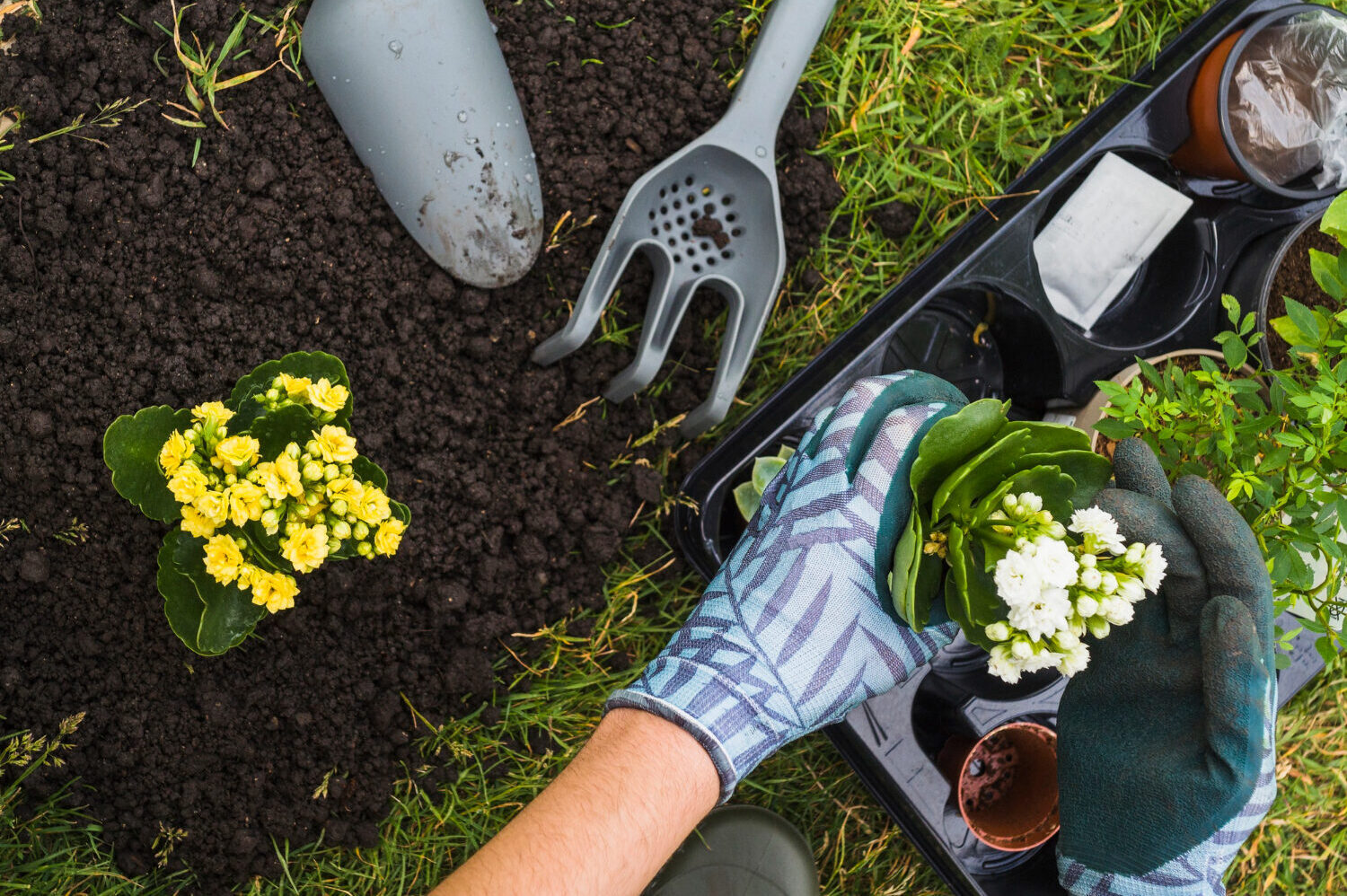 We create beautiful gardens in gympie